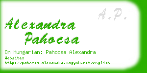 alexandra pahocsa business card